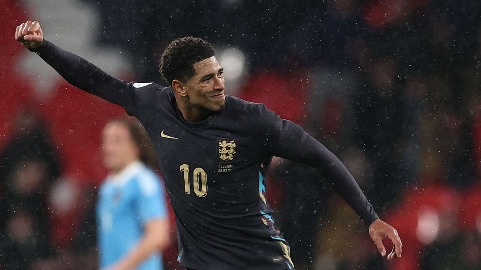 安排的意见 安排的意见