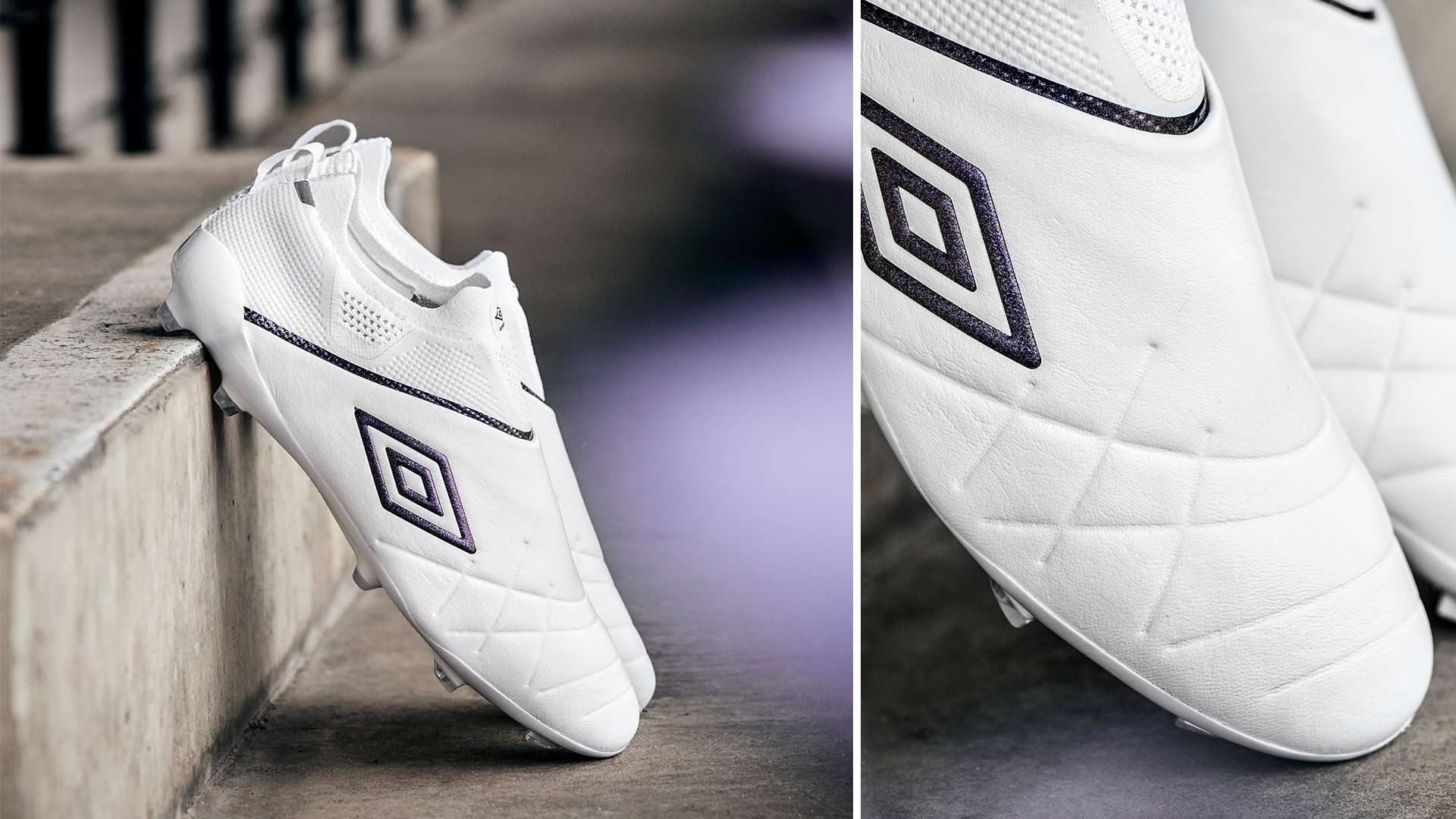 相信他带领 相信他带领